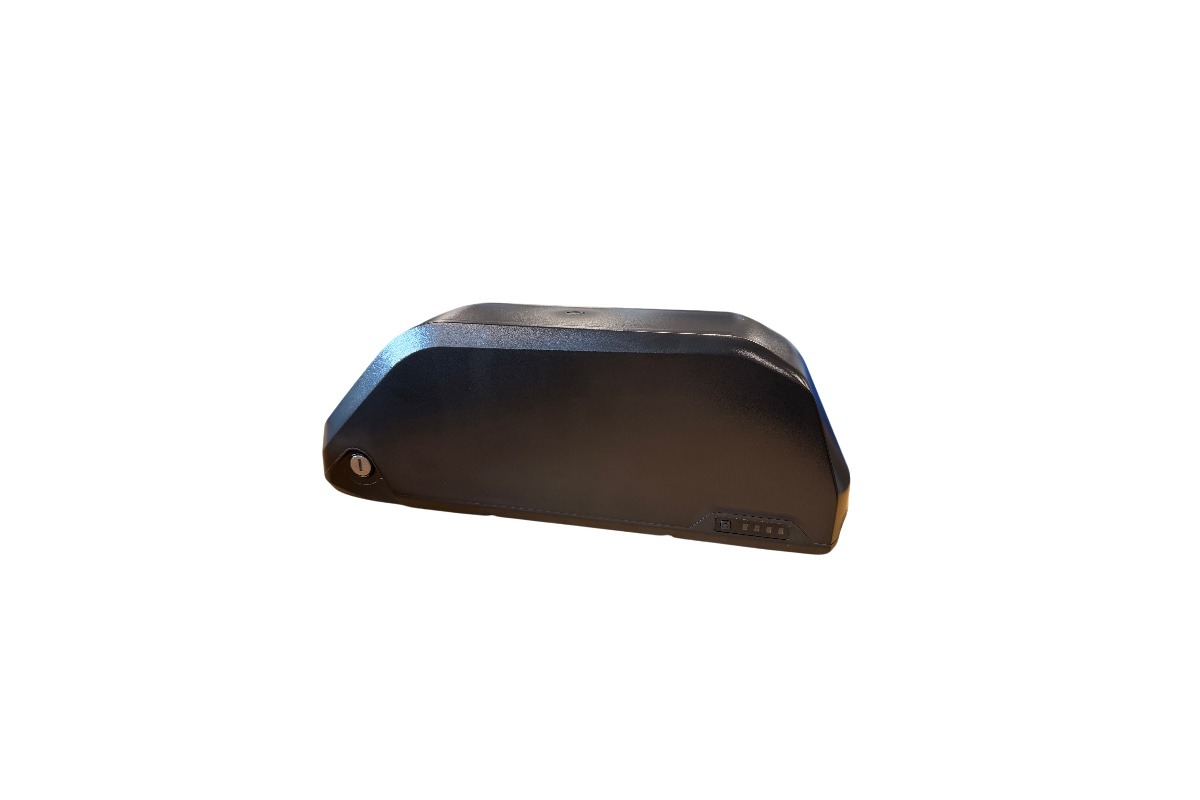 Batterie Lithium-ion 48V 20,3Ah - 974Wh seule